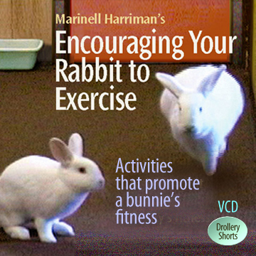 exercise